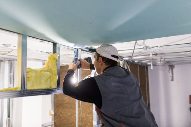 Best Specialty Insulation in Ricardo, TX