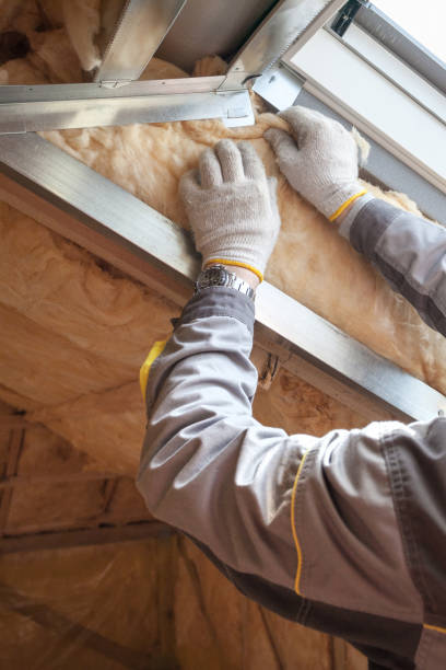 Best Insulation Materials and Products in Ricardo, TX