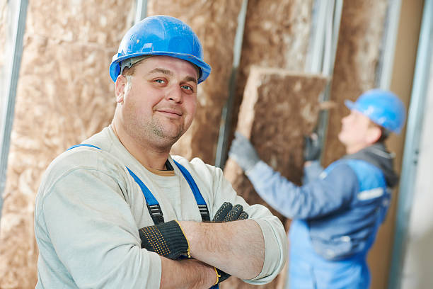 Best Insulation Installation Services in Ricardo, TX